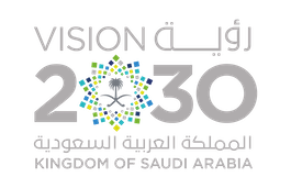 VISION 2030
